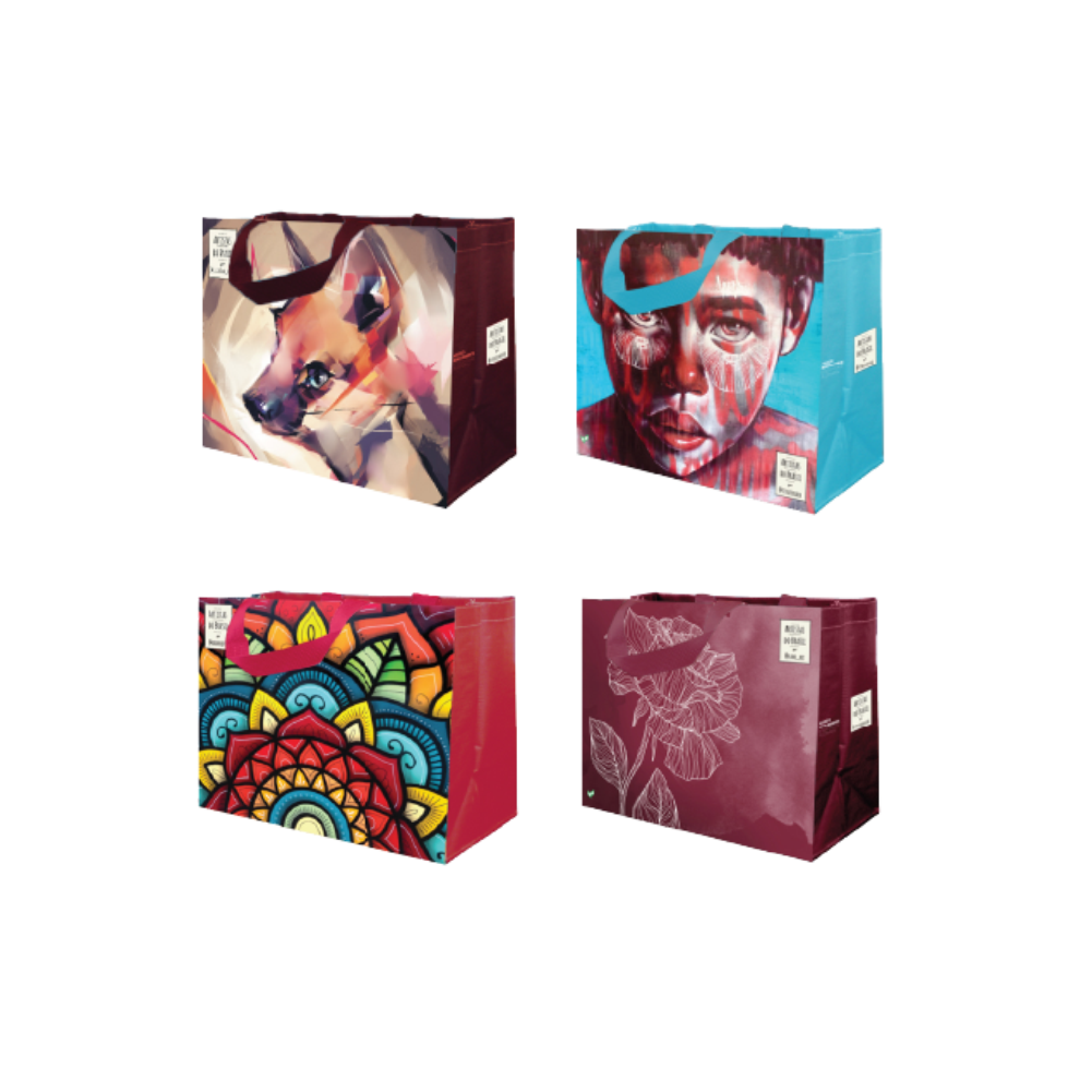 Coleção Artistas do Brasil 1