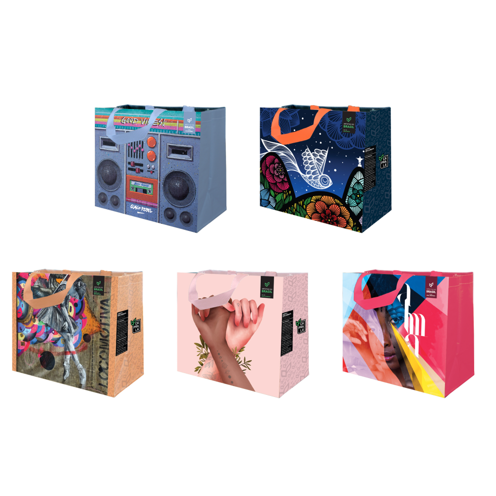 Coleção Artistas do Brasil 5