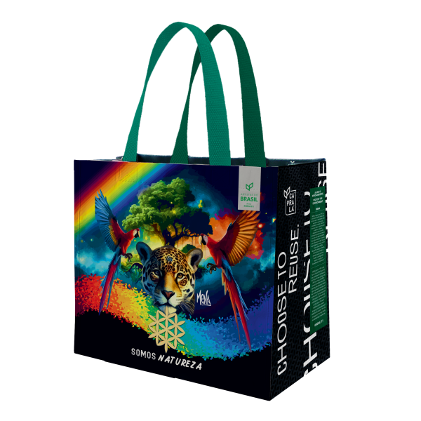 Coleção Artistas do Brasil 9