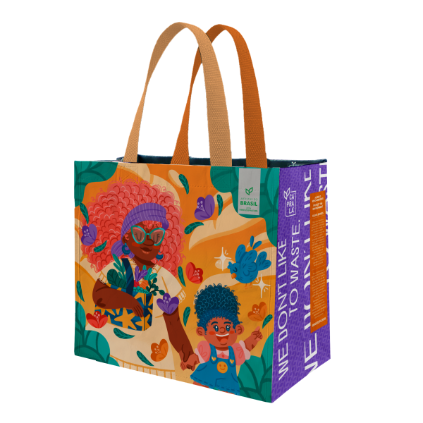 Coleção Artistas do Brasil 9