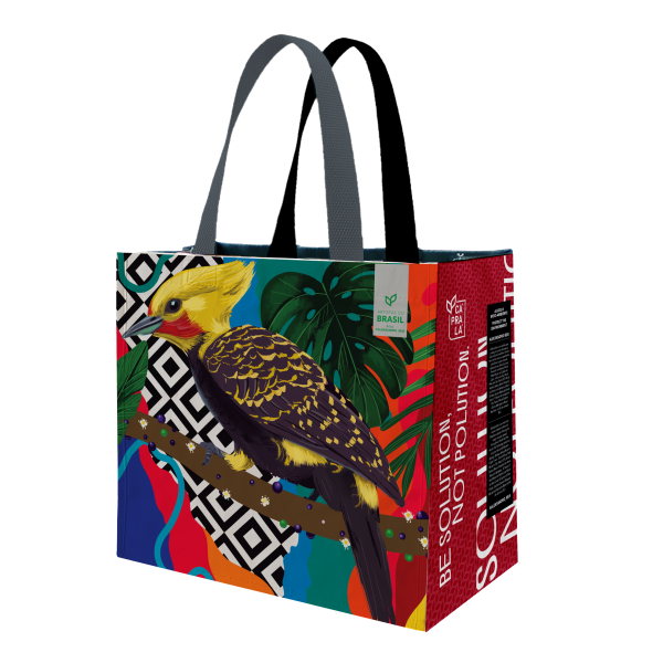 Coleção Artistas do Brasil 10