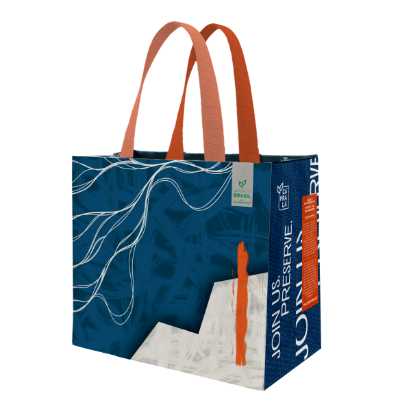 Coleção Artistas do Brasil 10