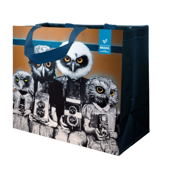 Coleção Artistas do Brasil 6