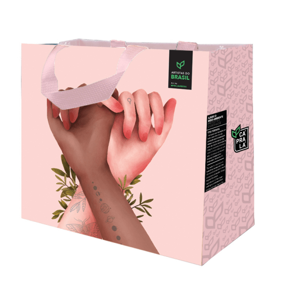 Coleção Artistas do Brasil 5