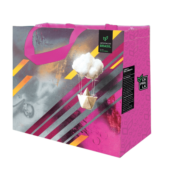 Coleção Artistas do Brasil 4