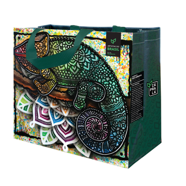 Coleção Artistas do Brasil 4