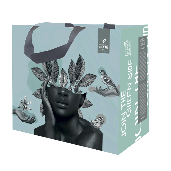 Coleção Artistas do Brasil 7 Beta