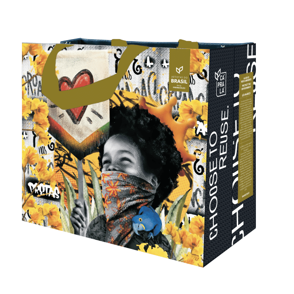 Coleção Artistas do Brasil 8 Beta