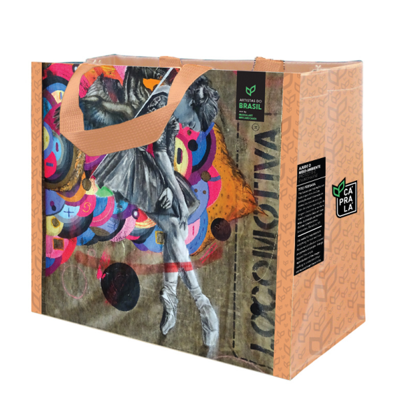 Coleção Artistas do Brasil 5