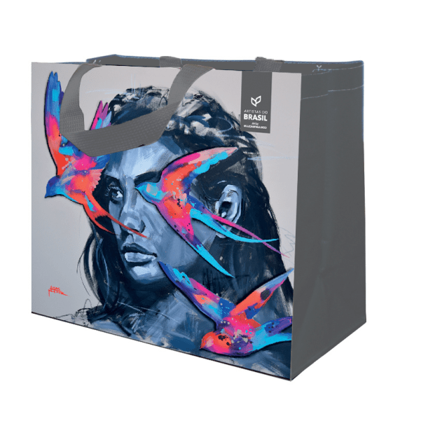 Coleção Artistas do Brasil 6