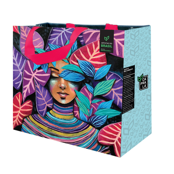 Coleção Artistas do Brasil 4