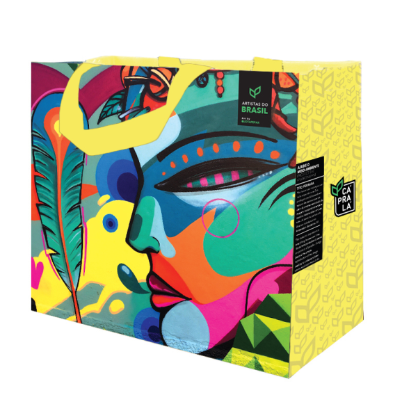 Coleção Artistas do Brasil 4