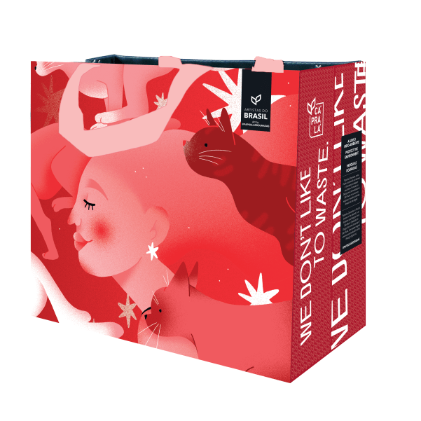 Coleção Artistas do Brasil 8 Alpha