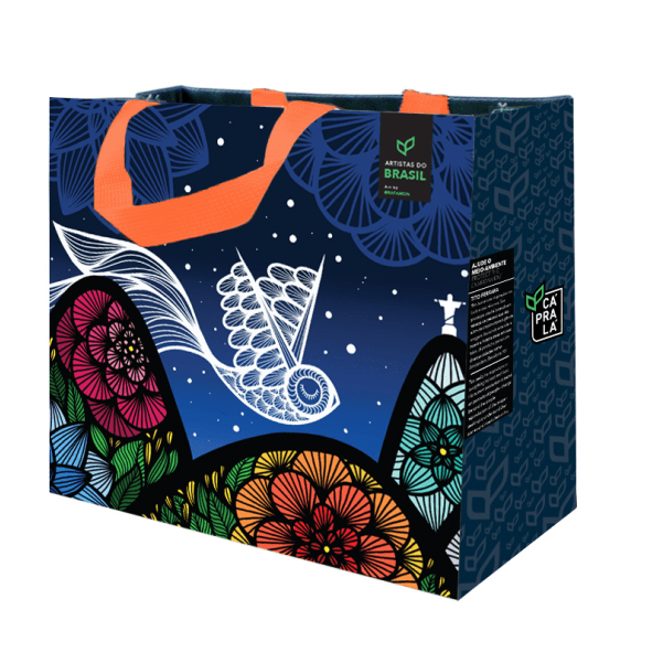 Coleção Artistas do Brasil 5