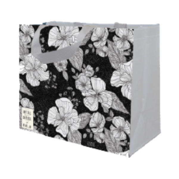 Coleção Artistas do Brasil 3