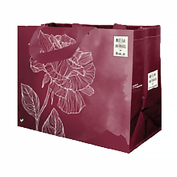 Coleção Artistas do Brasil 1