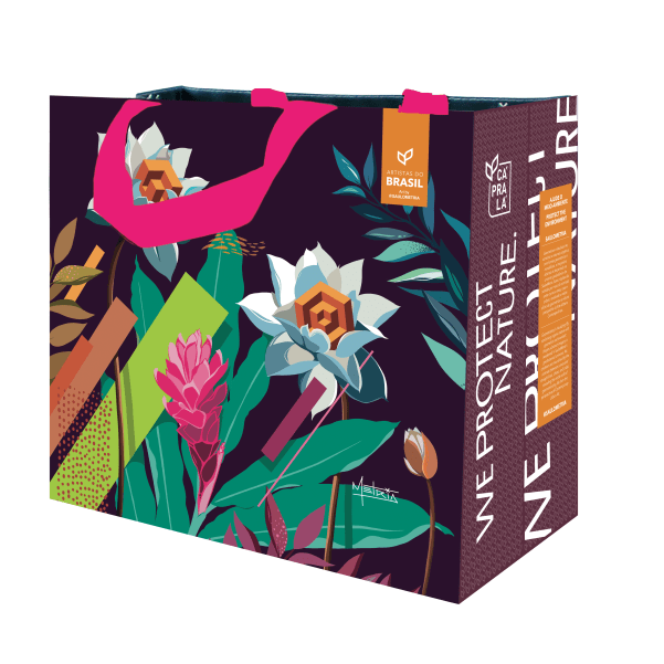 Coleção Artistas do Brasil 8 Alpha