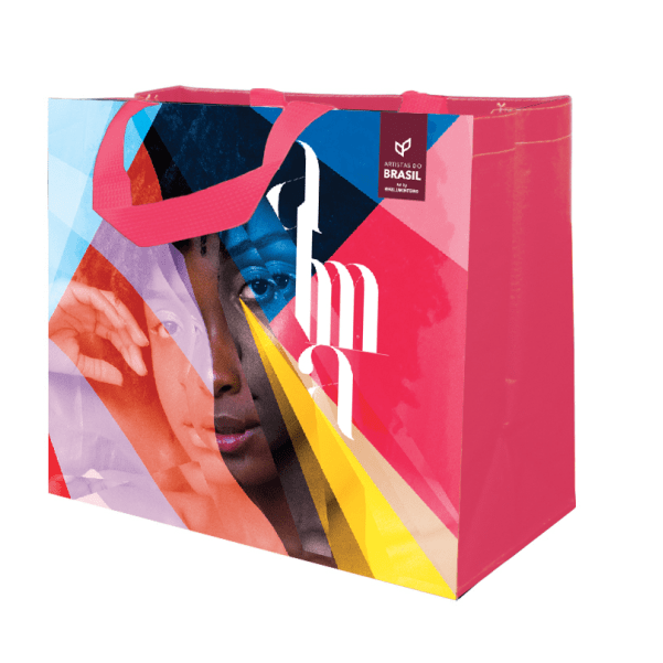 Coleção Artistas do Brasil 5