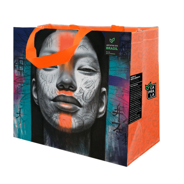 Coleção Artistas do Brasil 4