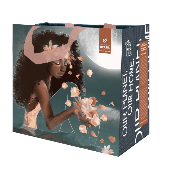 Coleção Artistas do Brasil 8 Beta