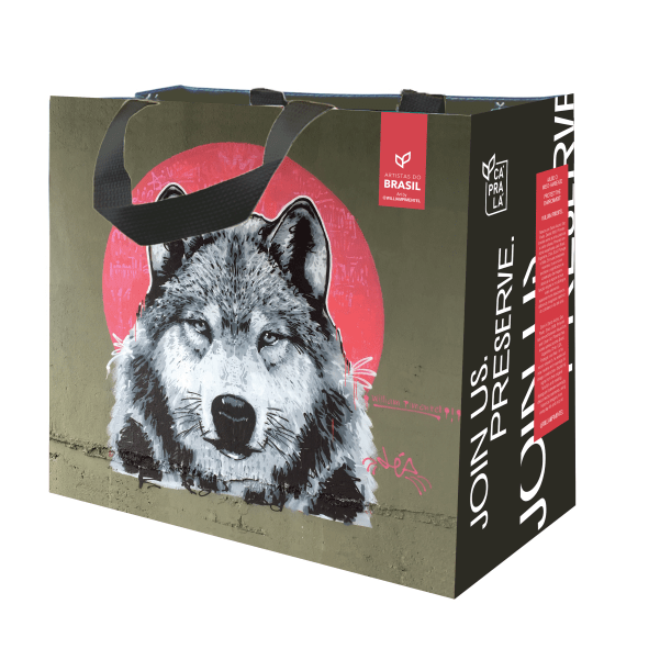 Coleção Artistas do Brasil 7 Beta