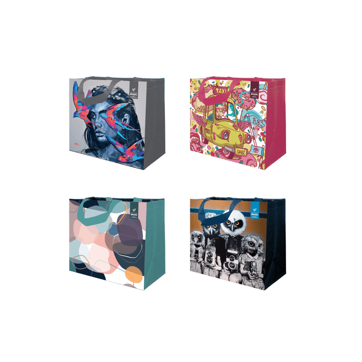 Coleção Artistas do Brasil 6