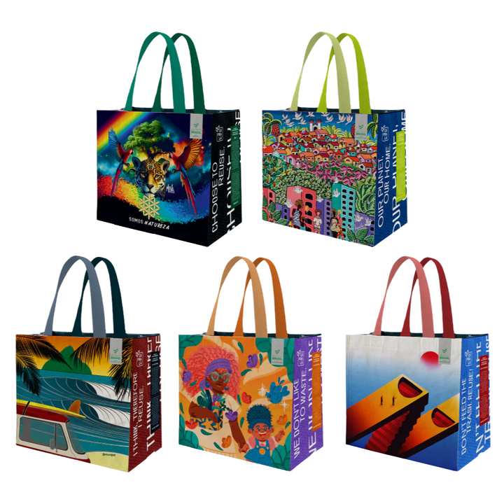 Coleção Artistas do Brasil 9